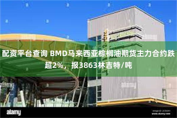 配资平台查询 BMD马来西亚棕榈油期货主力合约跌超2%，报3863林吉特/吨