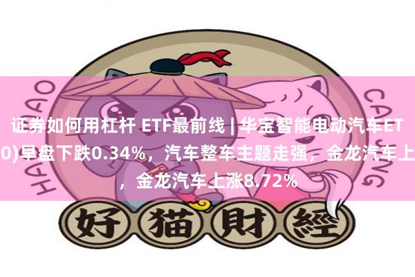 证券如何用杠杆 ETF最前线 | 华宝智能电动汽车ETF(516380)早盘下跌0.34%，汽车整车主题走强，金龙汽车上涨8.72%