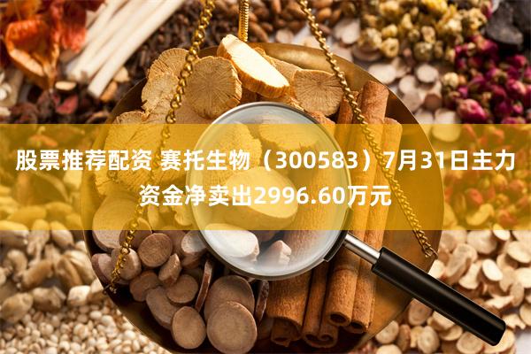 股票推荐配资 赛托生物（300583）7月31日主力资金净卖出2996.60万元