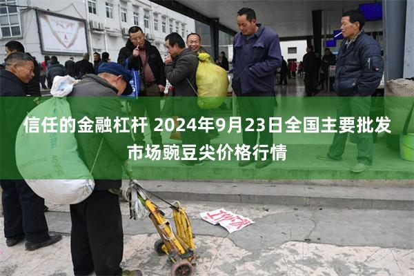 信任的金融杠杆 2024年9月23日全国主要批发市场豌豆尖价格行情