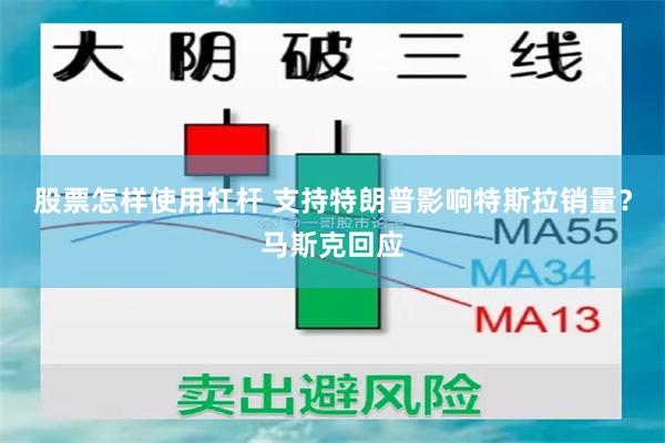 股票怎样使用杠杆 支持特朗普影响特斯拉销量？马斯克回应