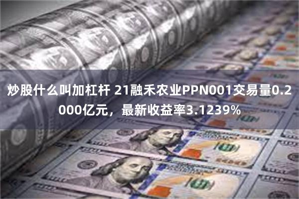 炒股什么叫加杠杆 21融禾农业PPN001交易量0.2000亿元，最新收益率3.1239%