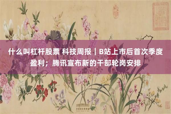 什么叫杠杆股票 科技周报｜B站上市后首次季度盈利；腾讯宣布新的干部轮岗安排